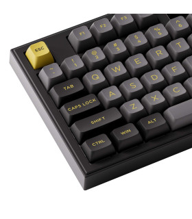 Akko 5098B Plus Black & Gold ANSI V3 Pro Piano