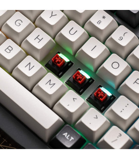 Akko Dracula Switch (Lubed) (45 pcs)