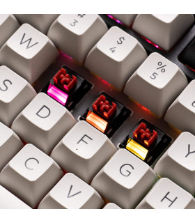 Akko Dracula Switch (Lubed) (45 pcs)