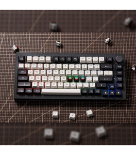 Akko Dracula Switch (Lubed) (45 pcs)