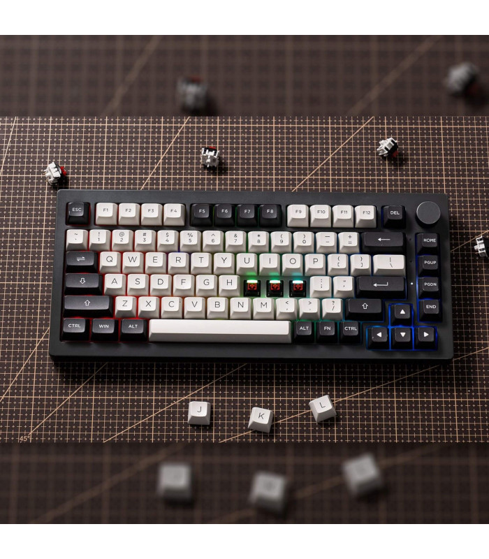 Akko Dracula Switch (Lubed) (45 pcs)