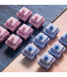 Akko Mirror Switch (Lubed) (45 pcs)