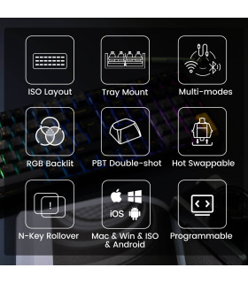 Akko 5108B Plus Black & Gold ISO PRO Cream Blue