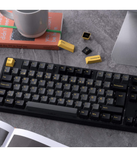 Akko 5108B Plus Black & Gold ISO PRO Cream Blue