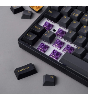 Akko 5108B Plus Black & Gold ISO PRO Cream Blue