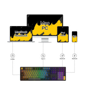 Akko 5108B Plus Black & Gold ISO PRO Cream Blue