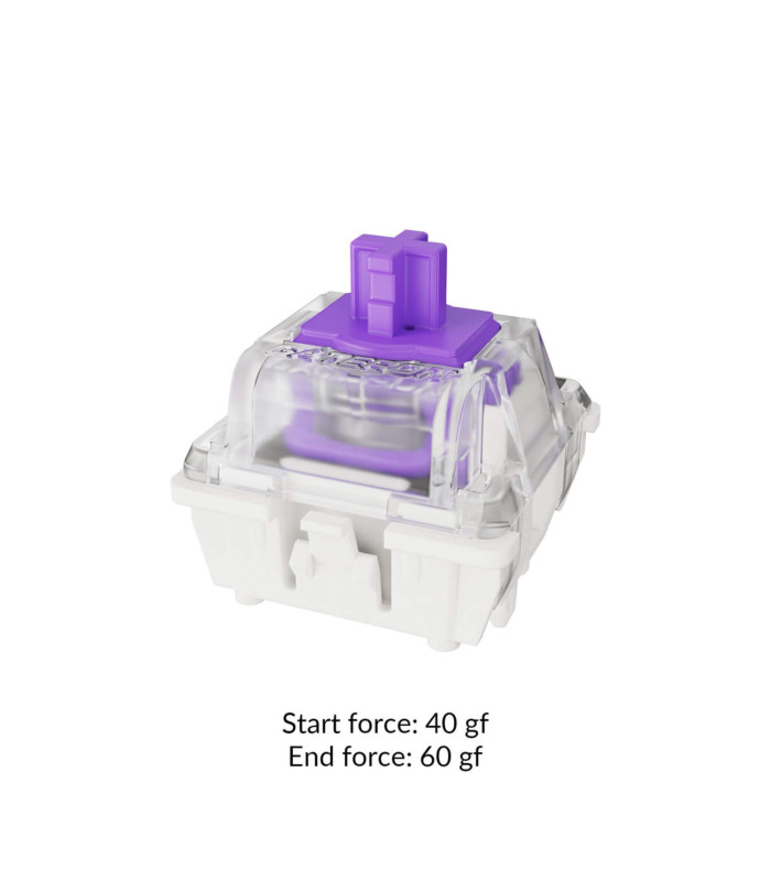 Gateron Double-Rail Magnetic 45pcs/Set Nebula