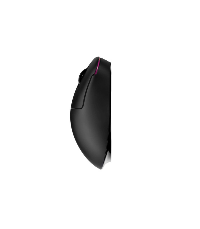 Pulsar ZYWOO the Chosen Mouse Size1 Black