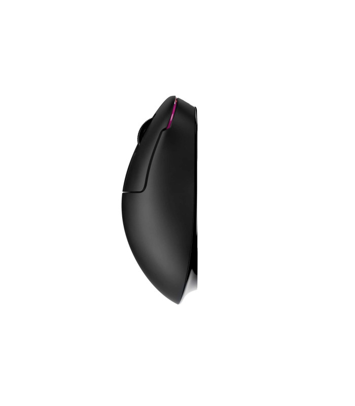 Pulsar ZYWOO the Chosen Mouse Size2 Black