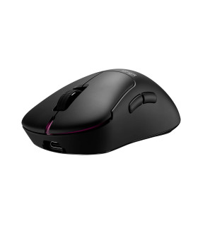 Pulsar ZYWOO the Chosen Mouse Size2 Black