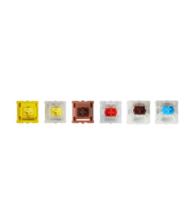 Gateron Cap V2 Switch 110pcs/Set Brown