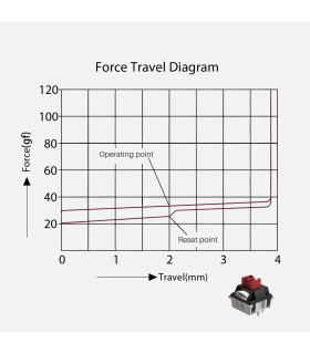 Akko Dracula Switch (Lubed) (45 pcs)