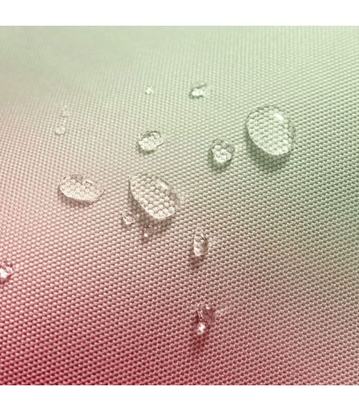 FancyCase-G05 Switch 2 Slim Case Cherry Blossom