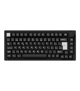 Akko MonsGeek M1 V5 WOB ISO-CH Akko Penguin 