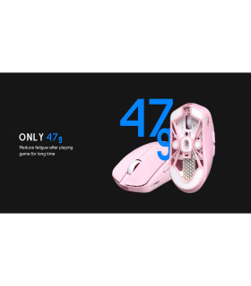 LAMZU MAYA X Black Edition