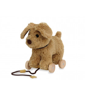 Dexter Dog Pull Along