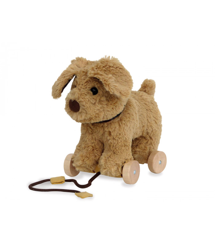 Dexter Dog Pull Along