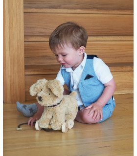 Dexter Dog Pull Along