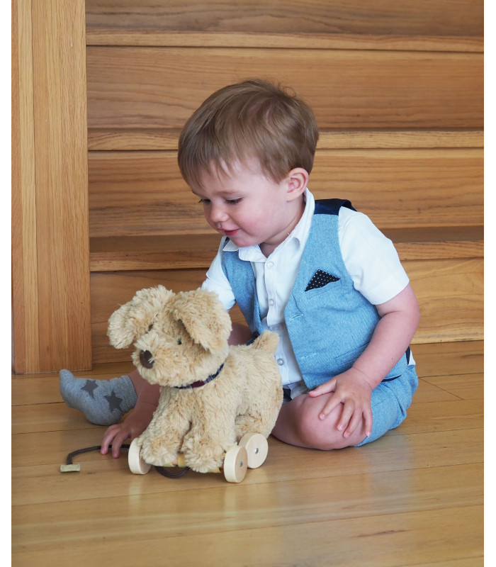 Dexter Dog Pull Along