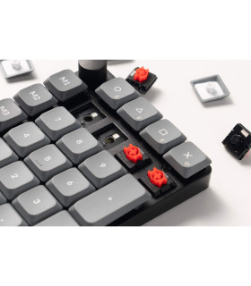 Keychron K0 Max Black QMK Red Switch NumberPad 