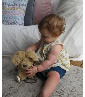 Dexter Dog Pull Along