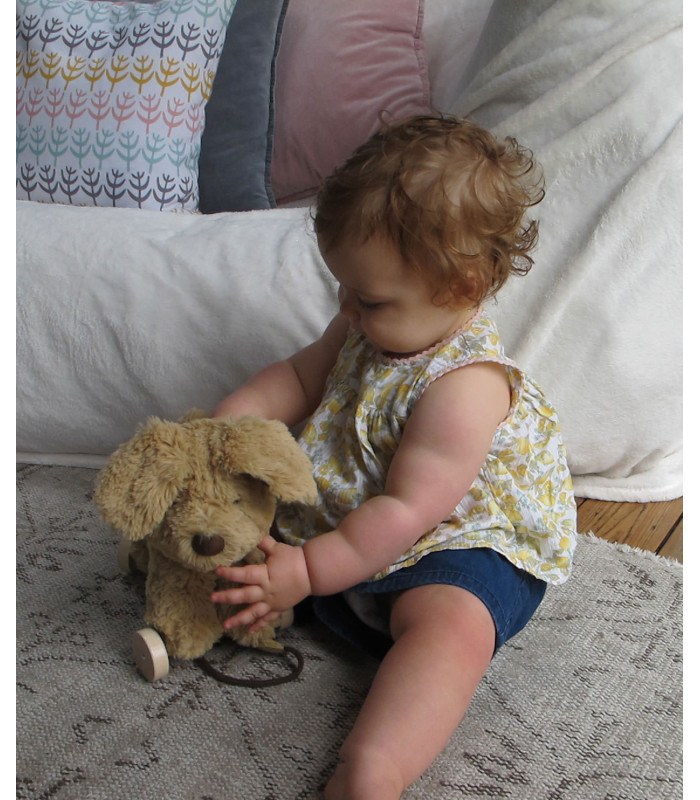 Dexter Dog Pull Along