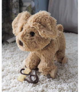 Dexter Dog Pull Along