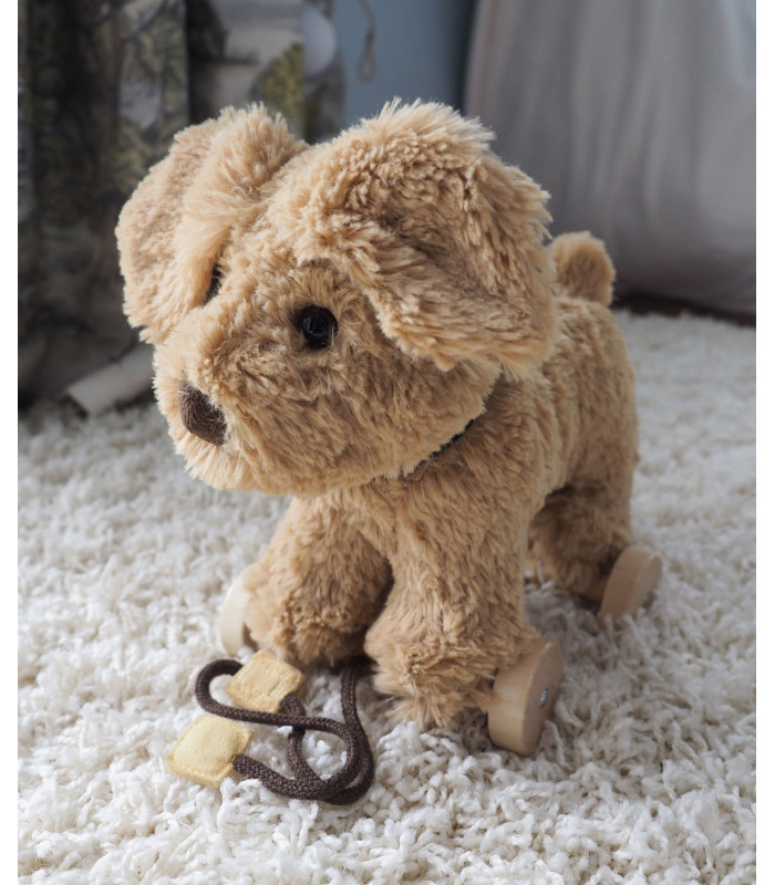 Dexter Dog Pull Along