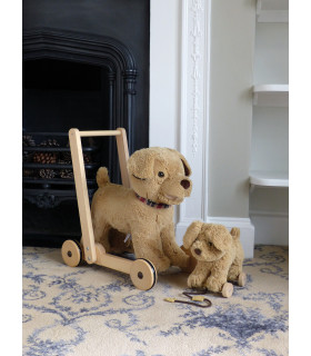 Dexter Dog Pull Along