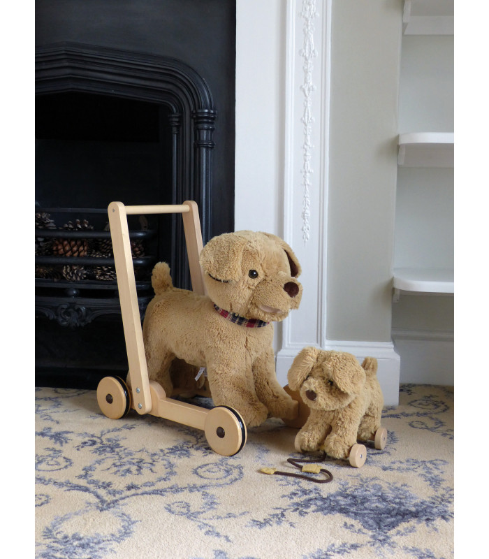 Dexter Dog Pull Along