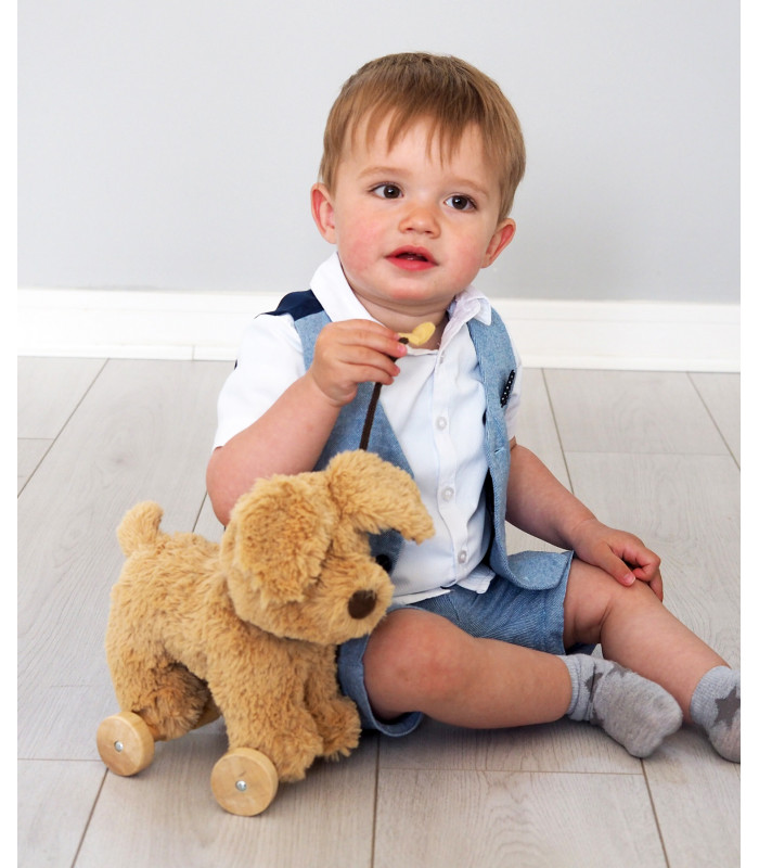 Dexter Dog Pull Along