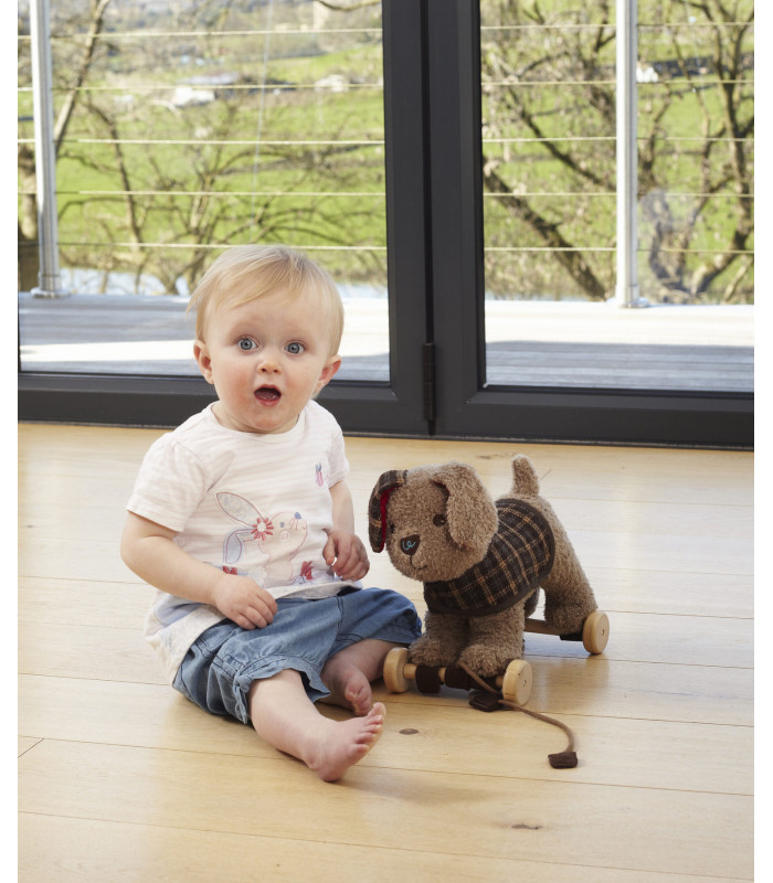 Percy Pup Pull Along