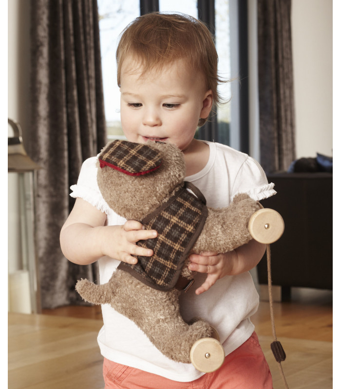 Percy Pup Pull Along