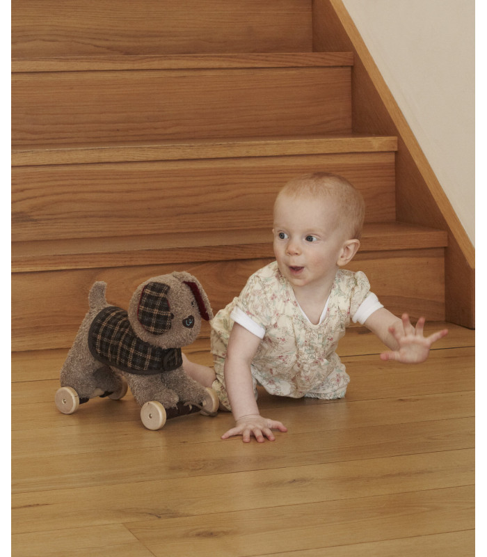 Percy Pup Pull Along