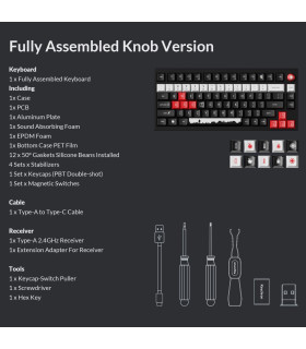 Lemokey DayZ Special Edition Magnetic Switch (US)