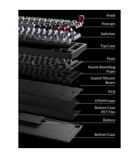 Lemokey DayZ Special Edition Magnetic Switch (US)