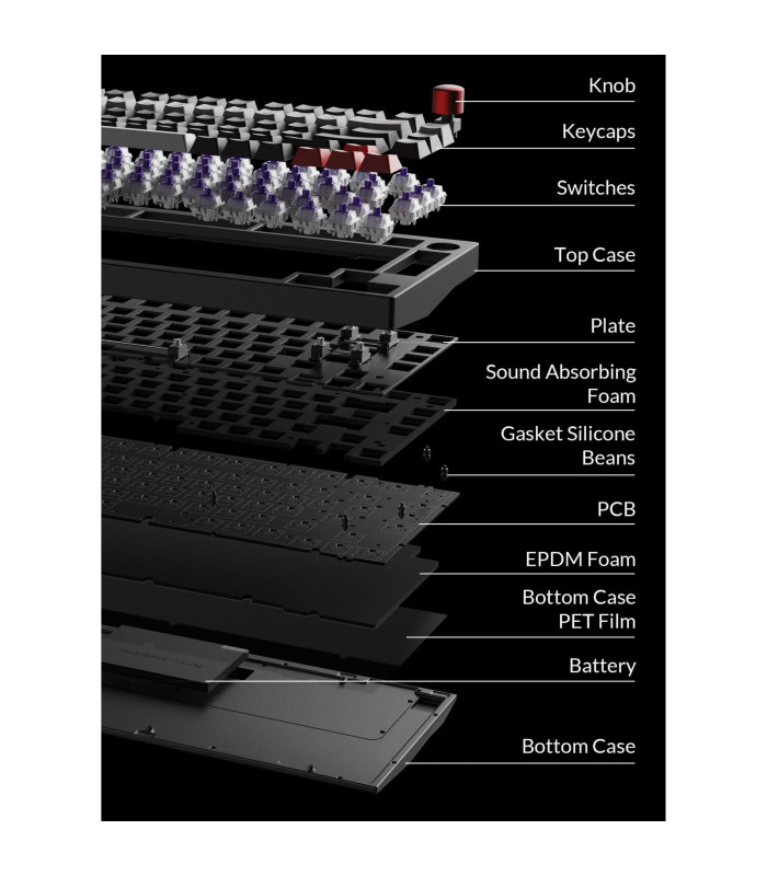 Lemokey DayZ Special Edition Magnetic Switch (US)