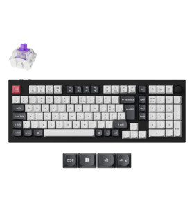 Q5 HE Carbon Black QMK Magnetic Switch (CH)