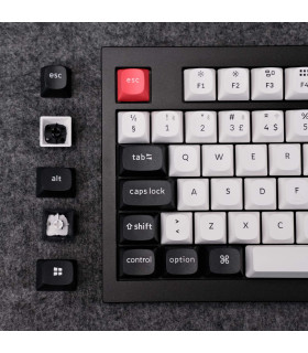 Q5 HE Carbon Black QMK Magnetic Switch (CH)