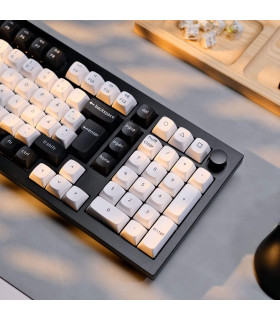 Q5 HE Carbon Black QMK Magnetic Switch (CH)