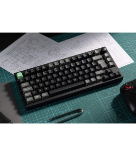 Lemokey P1 HE Magnetic Switch (CH) w/Knob