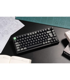 Lemokey P1 HE Magnetic Switch (CH) w/Knob