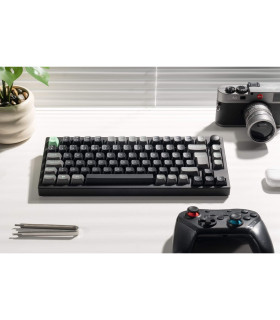 Lemokey P1 HE Magnetic Switch (CH) w/Knob