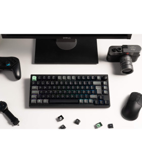 Lemokey P1 HE Magnetic Switch (CH) w/Knob