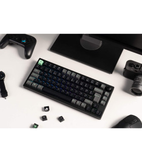 Lemokey P1 HE Magnetic Switch (CH) w/Knob