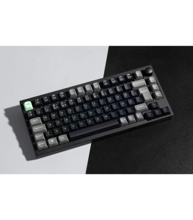 Lemokey P1 HE Magnetic Switch (CH) w/Knob