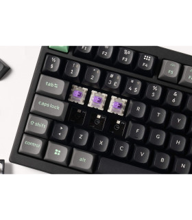 Lemokey P1 HE Magnetic Switch (CH) w/Knob