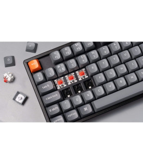Keychron K8 Max Brown Switch (CH)
