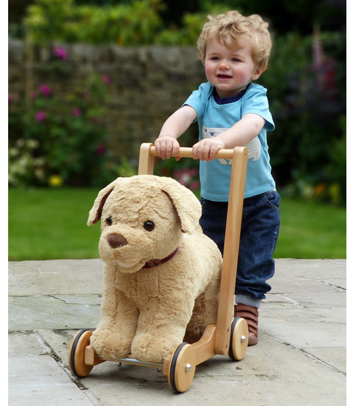 Dexter Dog Push Along