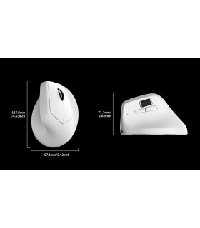 Keychron M5 Wireless Ergonomic Mouse White (8K)